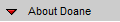 About Doane